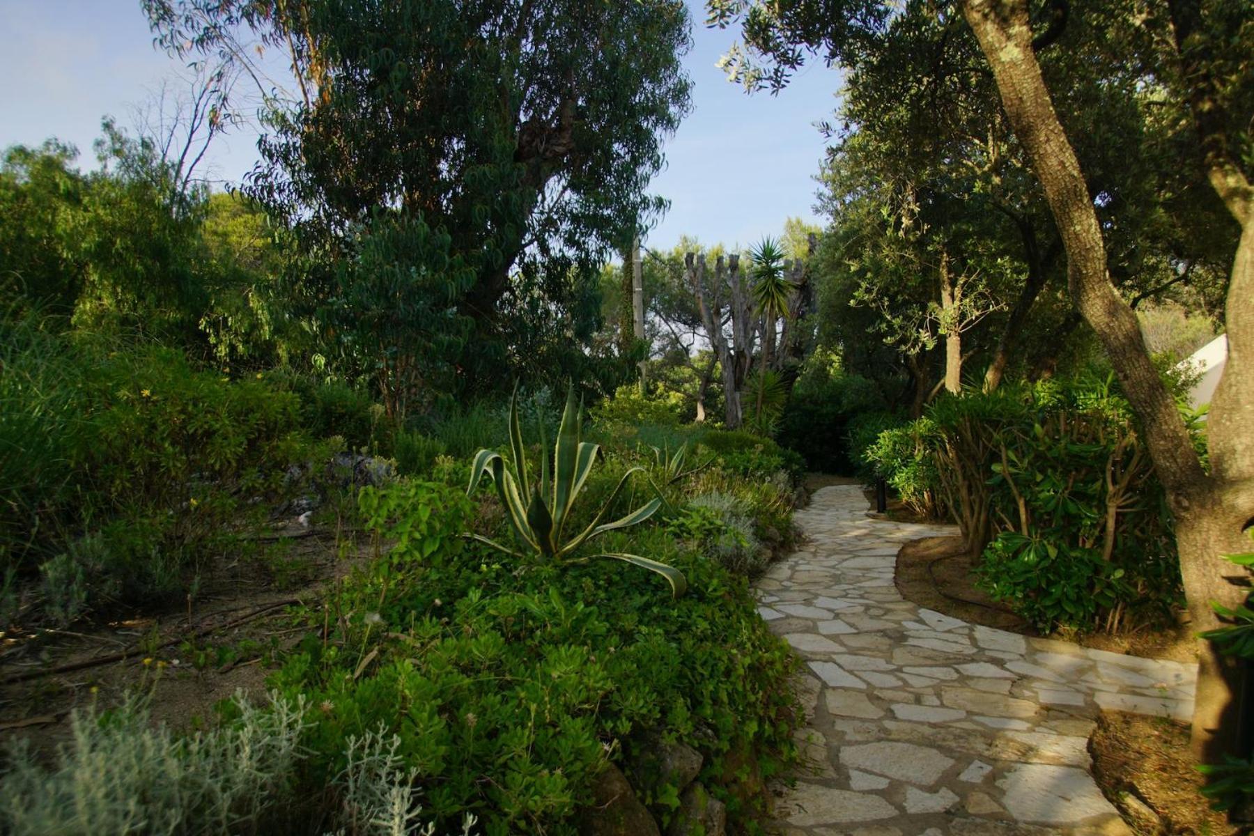 Solenzia, Luxueux A 100m De La Saint-Tropez